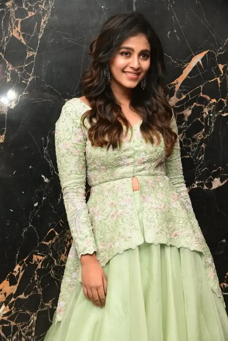 South Indian Actress Anjali Stills in Traditional Light Green Dress